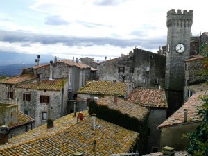 vista sui tetti e torre