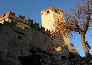 L’arte nelle sue svariate forme