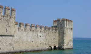 Le mura - bel posto di riposo per i gabbiani (Rocca Scaligera)