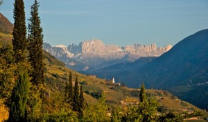 La vigna e la montagna
