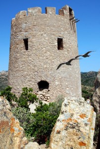 Torre murtas