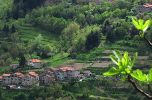 Siamo in primavera