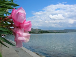 Lago Trasimeno