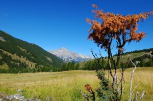 L’affascinante Val Thuras
