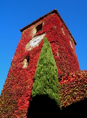 Frontino - La Torre sotto le foglie
