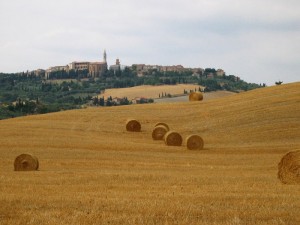 Immersa nel giallo