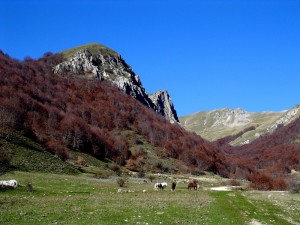 Monte Pizzuto e Valle Pozzoni