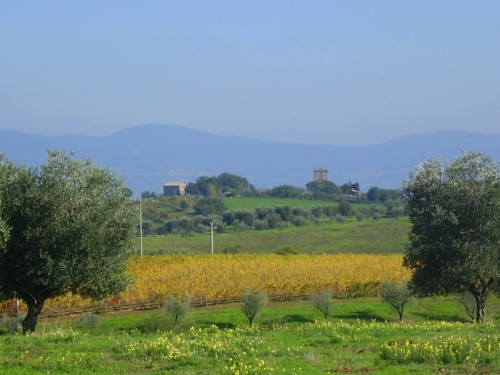 Lubriano - VOCABOLO POGGIO DELLE FORCHE, PANORAMA SULLA TORRE DI SANTA CATERINA, SETTEMBRE