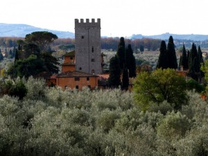 fra olivi, pini e cipressi spunta una torre