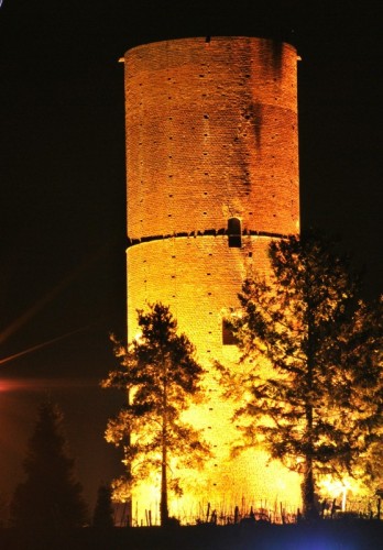 Montaldo Roero - La torre medioevale Montaldo Roero - La torre medioevale
