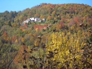autunno  in contrada