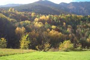 autunno in Vallarsa