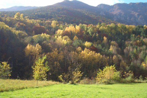 Vallarsa - autunno in Vallarsa