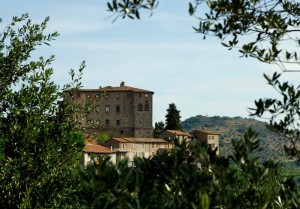 Castello tra gli ulivi