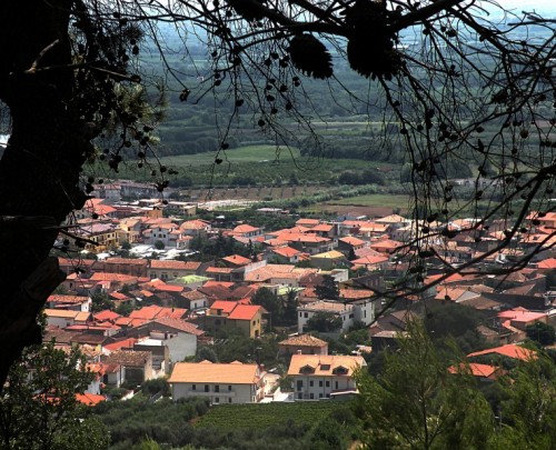 Falciano del Massico - Falciano del Massico (CE)