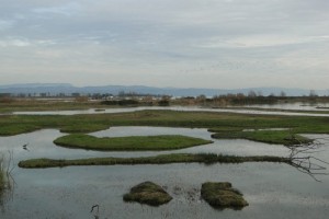 isola della cona in dicembre