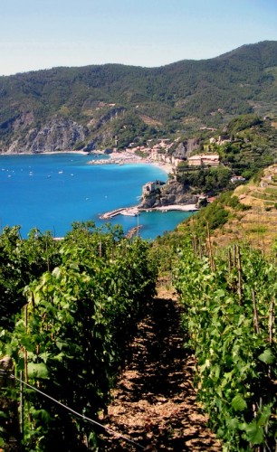 Monterosso al Mare - lungo la via delle cinque terre 