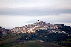 candela e un falchetto