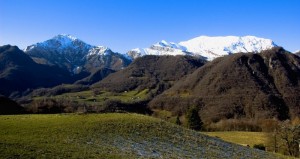 Parco delle Grigne da Balisio