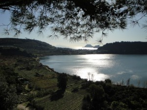 …la porta degli Inferi..?..vicino al Lago d’Averno..??…ma..va..la’..!!!