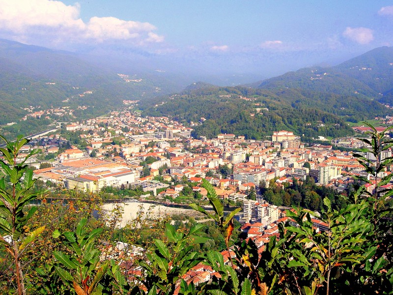 ''Panorama di Borgosesia'' - Borgosesia