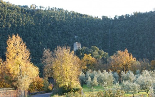 Salisano - Rocca Baldesca