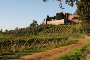 Tra le vigne toscane