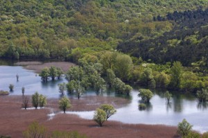 Laghi di Doberdo’ visti dall’alto