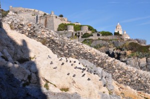 Forte di Portovenere