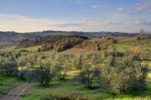 A nord di Montegufoni