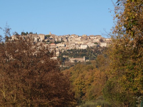 Castro dei Volsci - inCASTRata tra gli alberi Castro dei Volsci - inCASTRata tra gli alberi