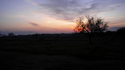 Agrigento - Resti disseminati 