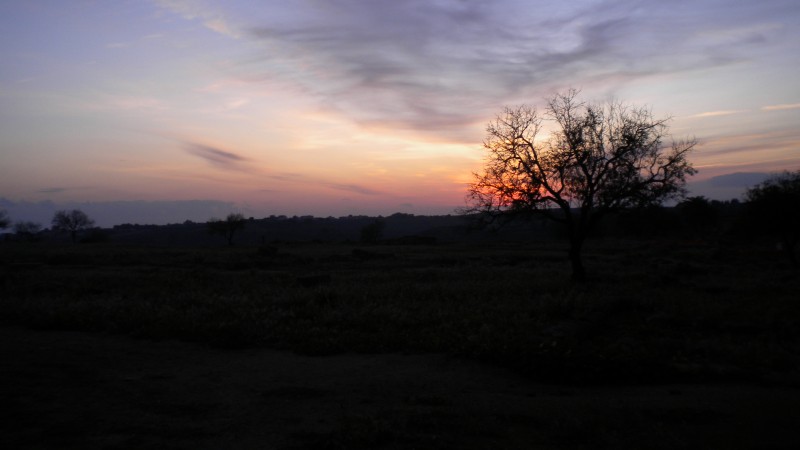 ''Resti disseminati'' - Agrigento