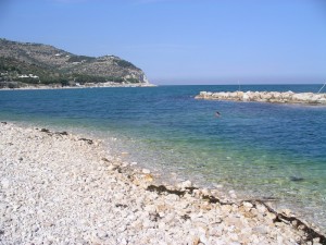 MATTINATA “TROPICALE”