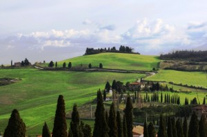 Un tappeto di natura