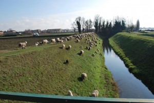 La campagna Veronese