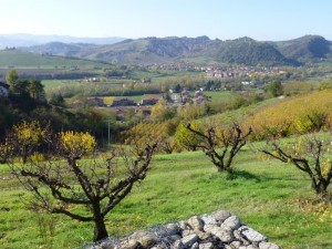 novembre cambia i colori alle campagne