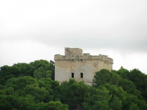 s. caterina nardo’