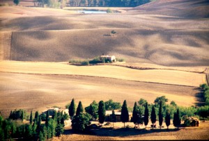 Estate colline Pientine