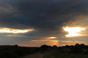 l’ombra del Liortìnas