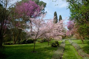 Doganella Di Ninfa