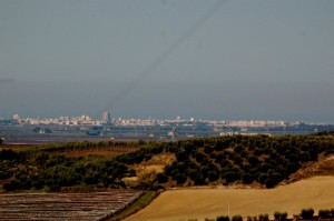 il panorama che si vede dal mio terrazzo a Canosa infondo Cerignola