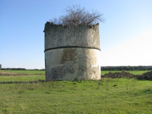 colonbaia Supersano(le)