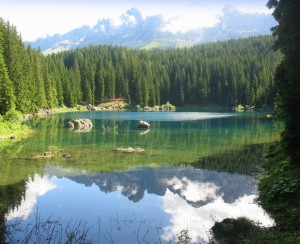 Ricordi & Riflessi………….