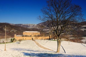 Golaso e la prima neve 2