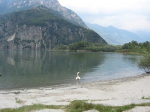 il lago e…i suoi “abitanti”…