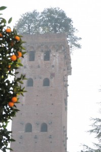 la torre con le arance