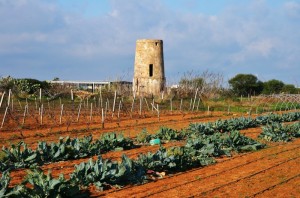 torre Arcana fra gli orti