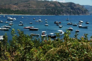 il porto di ogliastro