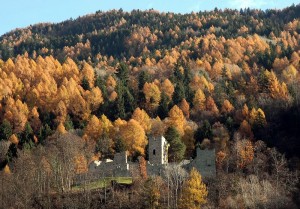 Un castello nel bosco dorato